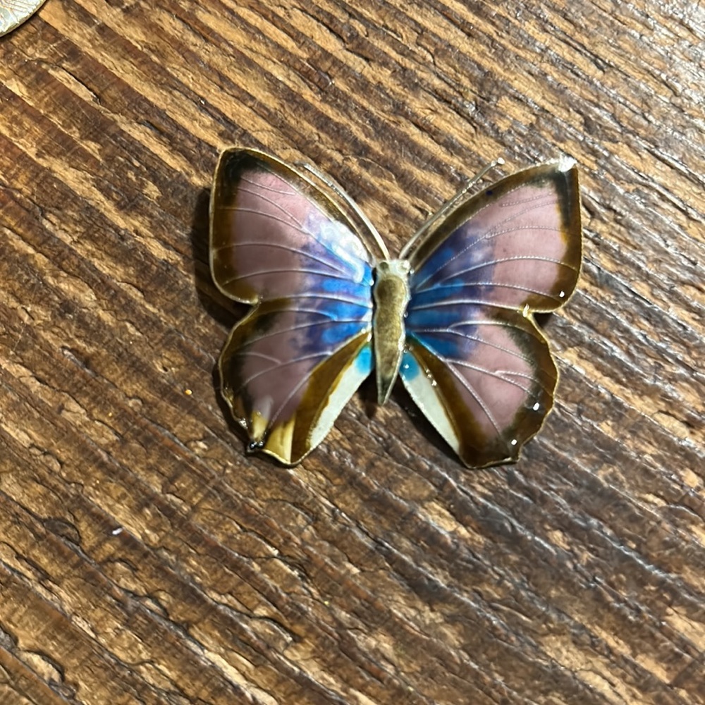 Vintage enamel sterling butterfly brooch